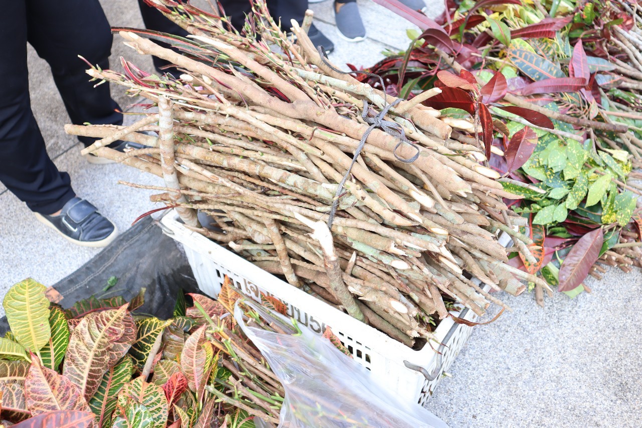 กิจกรรมถนนสวย ดอกไม้สดใส ใสใจสิ่งแวดล้อม